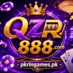 QZR888 Game Logo